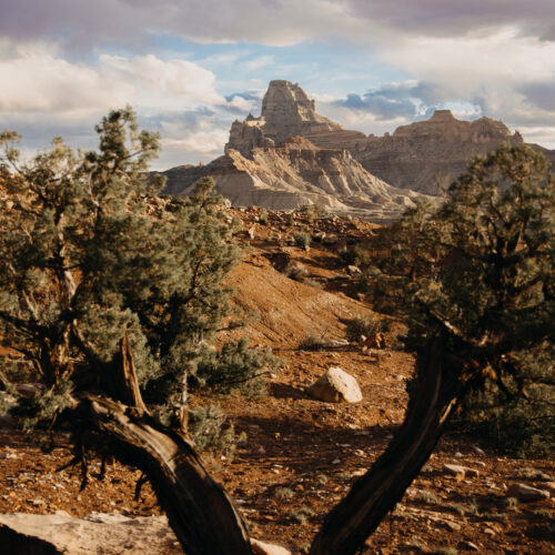 An image from one of Utah's scenic desert landscapes