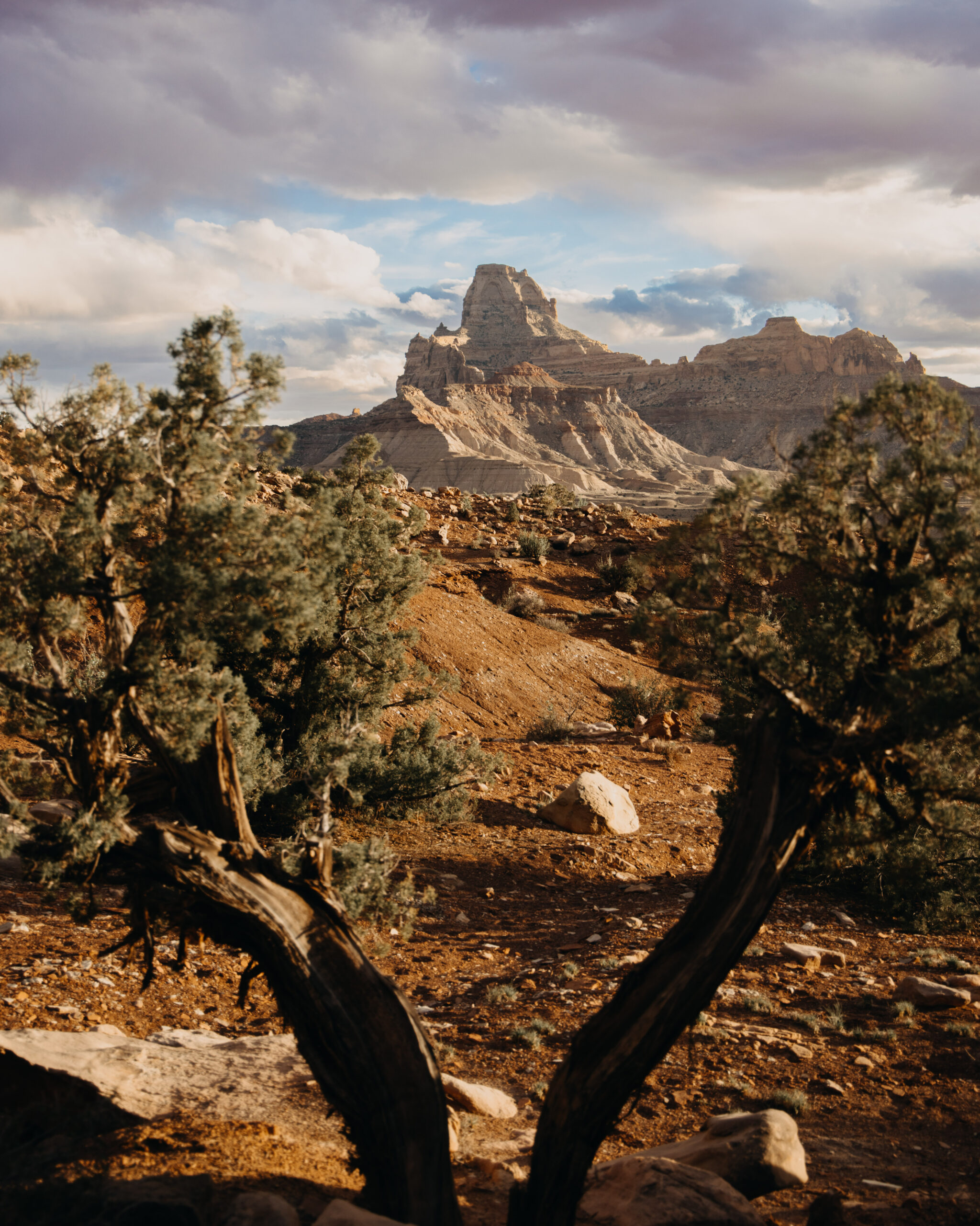 An image from one of Utah's scenic desert landscapes