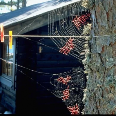 Katchadourian Screenshot 2026-01-03 at 5.29.06 PM